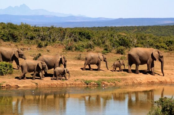 Popular Kenya Tourism Destinations