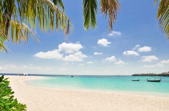 Mombasa, Kenya’s ultimate tropical beach destination