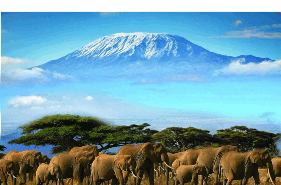 2 Nights 3 Days – Amboseli National Park SOPA