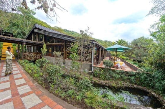 2 Nights 3 Days Nakuru – Sarova Lion Hill