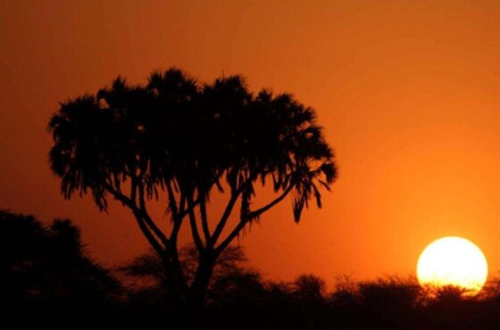 2 Nights 3 Days: Group Join In – Sarova Shaba Camp