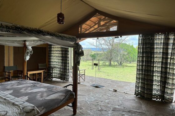 2 Nights 3 Days Group Join In – Simba Oryx Nature Camp