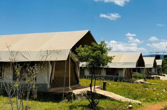 2 Nights 3 Days Maasai Mara- Flair Budget Camp